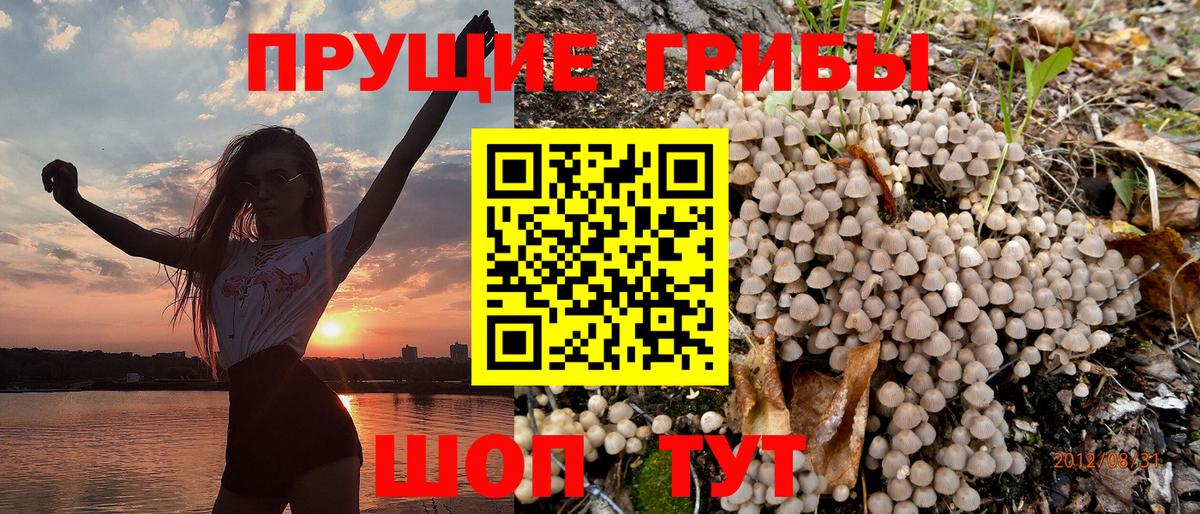 Галлюциногенные грибы GOLDEN TEACHER Хасавюрт
