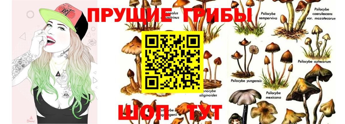 Хасавюрт  Галлюциногенные грибы Magic Shrooms  Вход с VPN 